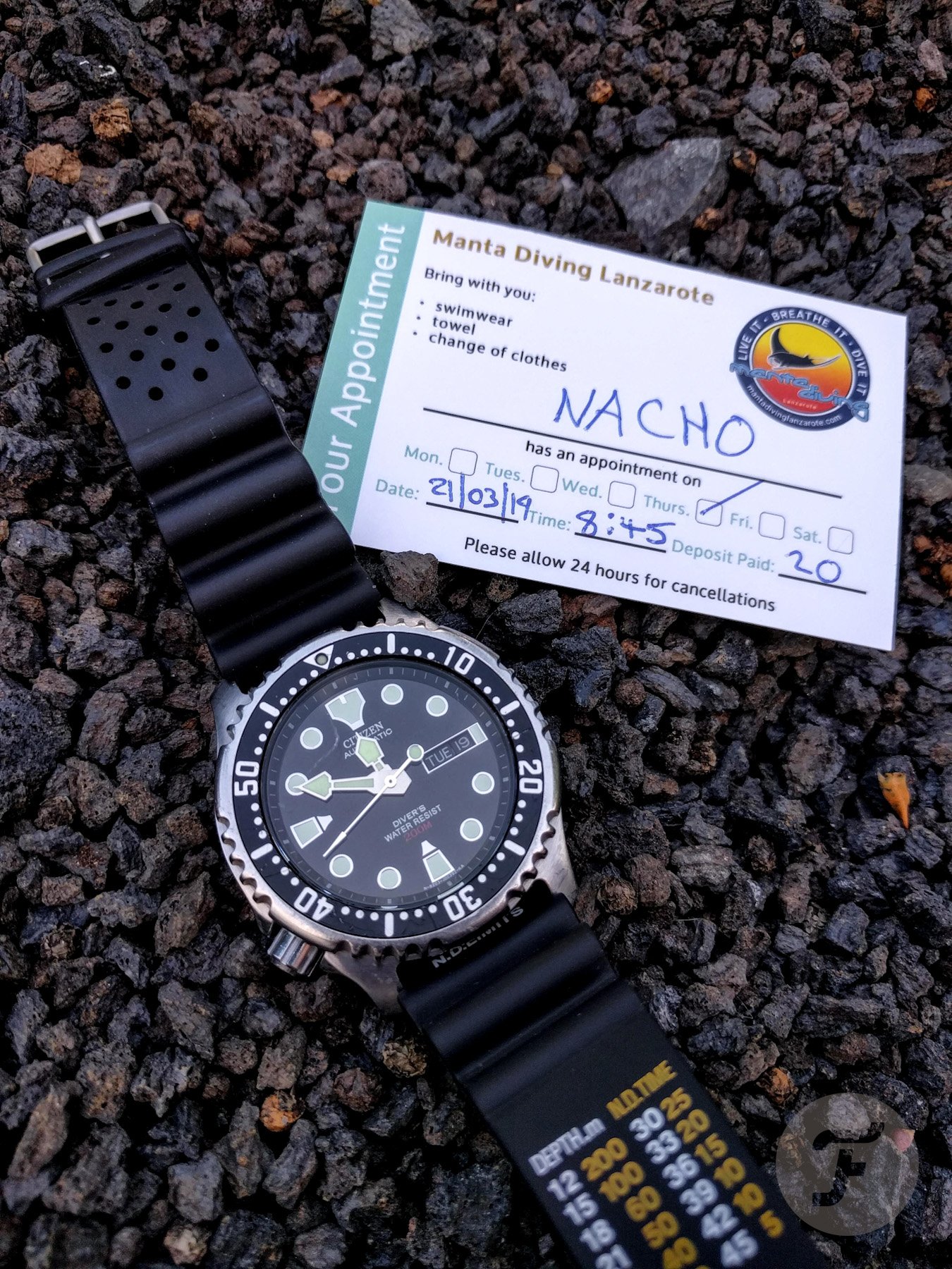 Citizen ProMaster NY0040-09E Automatic Diver Watch