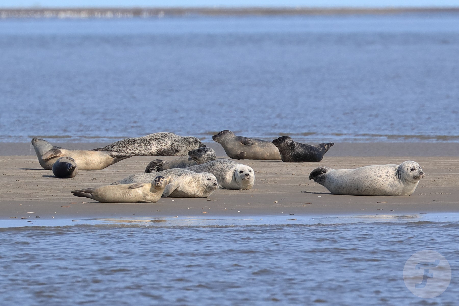 F A Different Kind Of Watch Event Oris Wadden Sea Event 2021