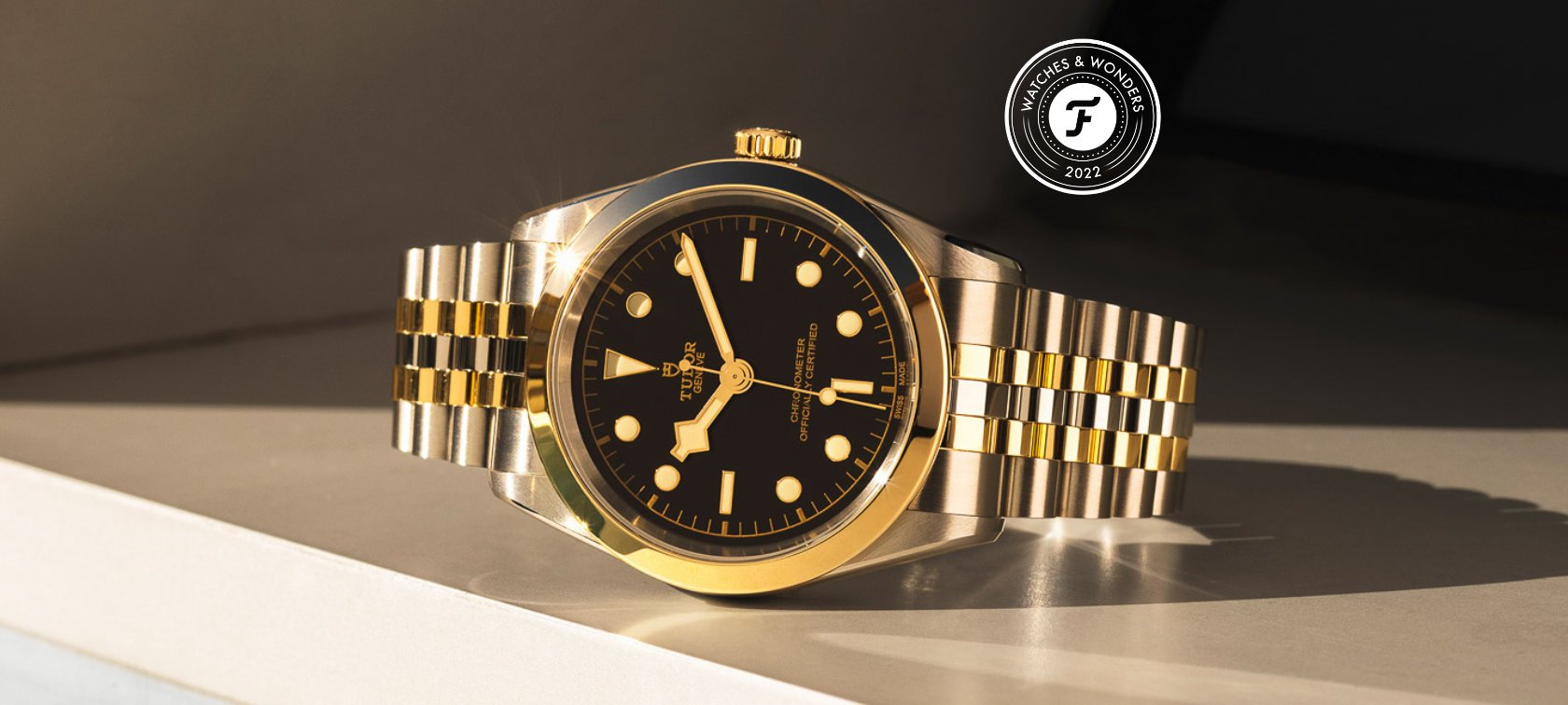 F Tudor Black Bay Steel Gold Get In House COSC Movements