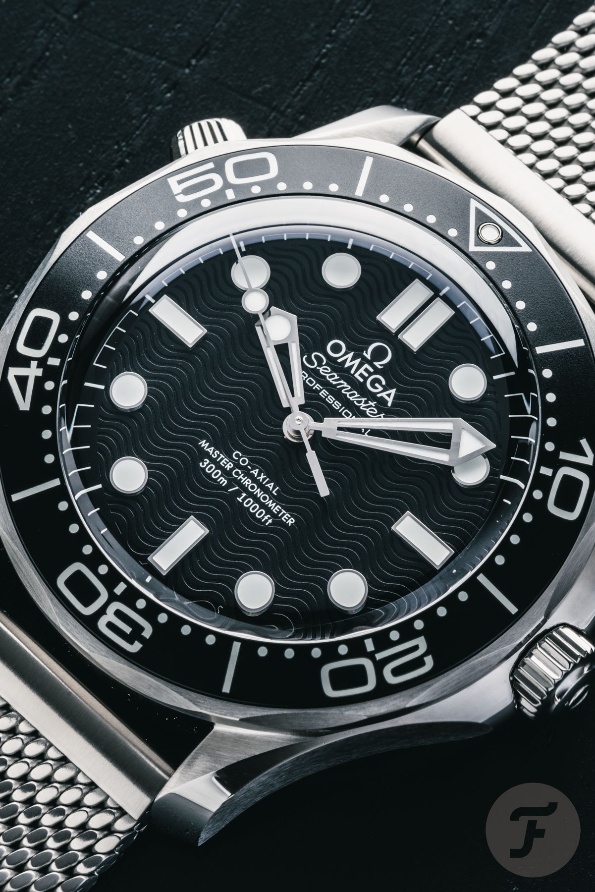 Omega Seamaster Diver 300M Black Portrait