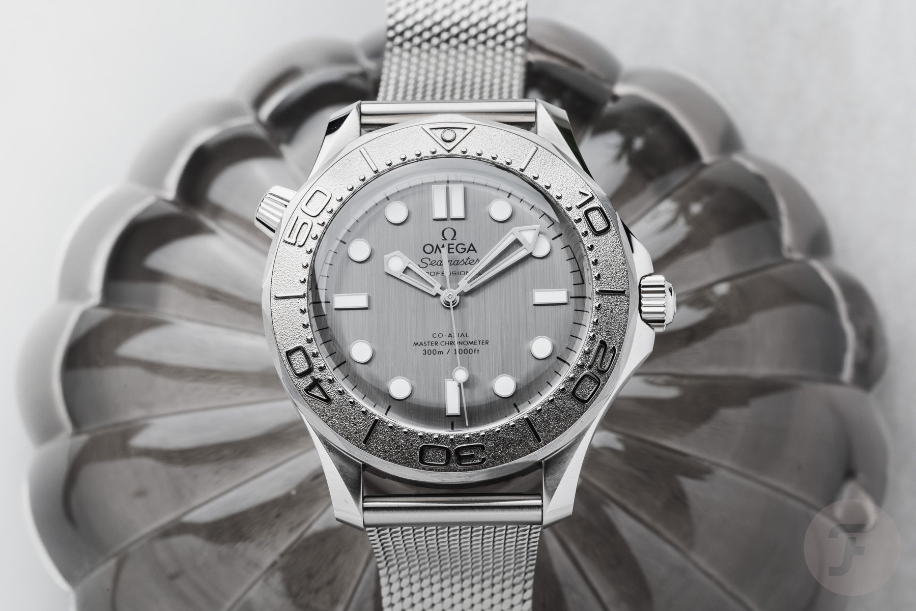 Omega Seamaster Diver 300M "Silver Surfer"