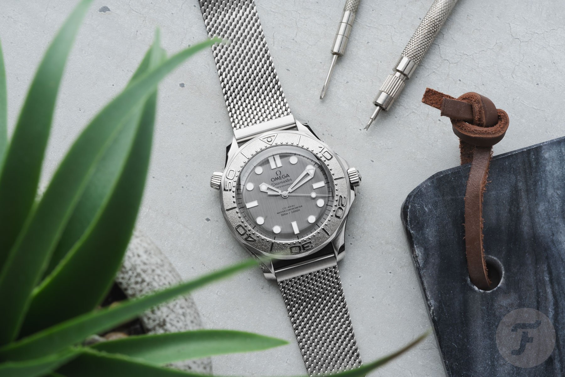 Omega Seamaster Diver 300M "Silver Surfer" flat lay