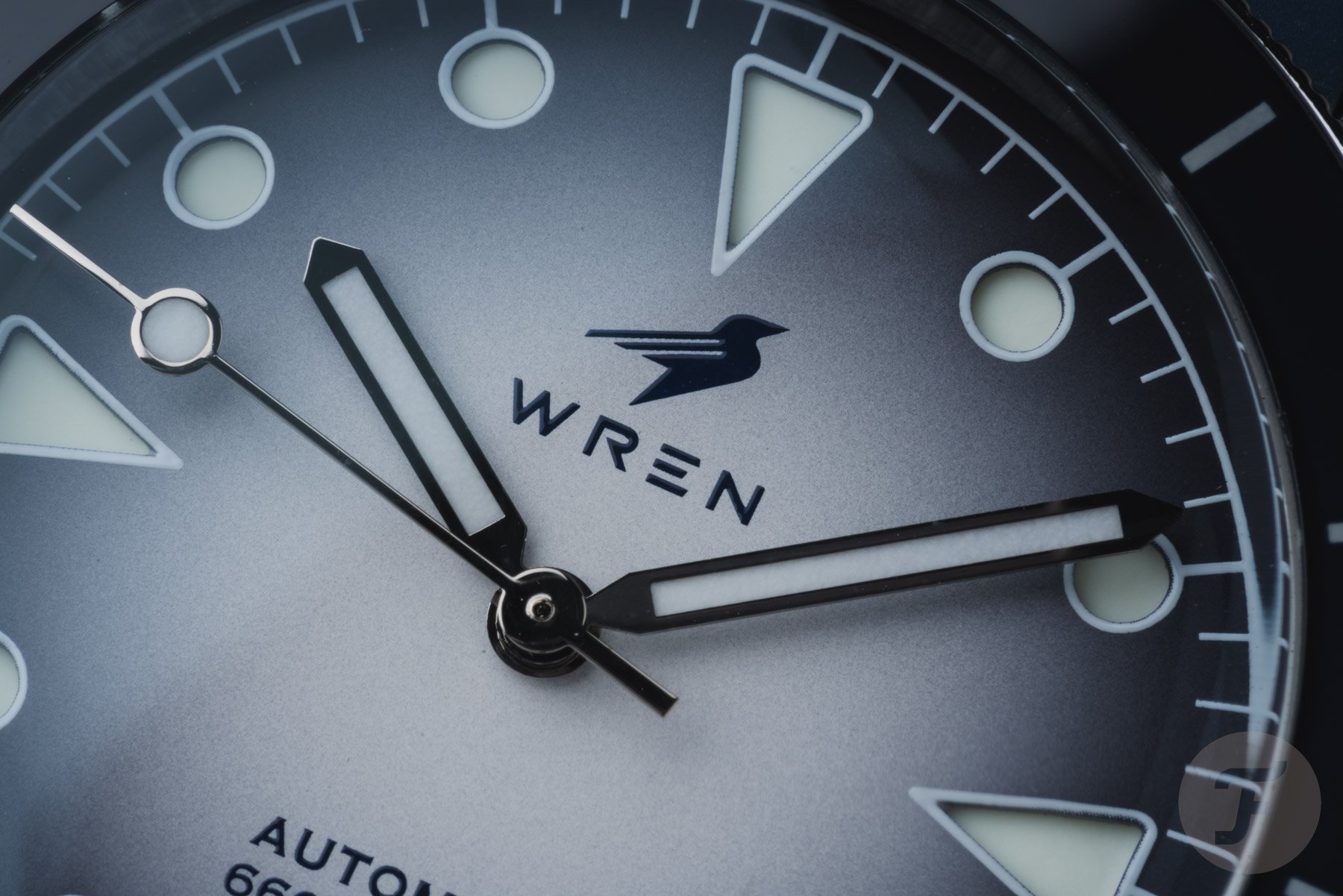 Close up of Wren Diver One Snow Dial