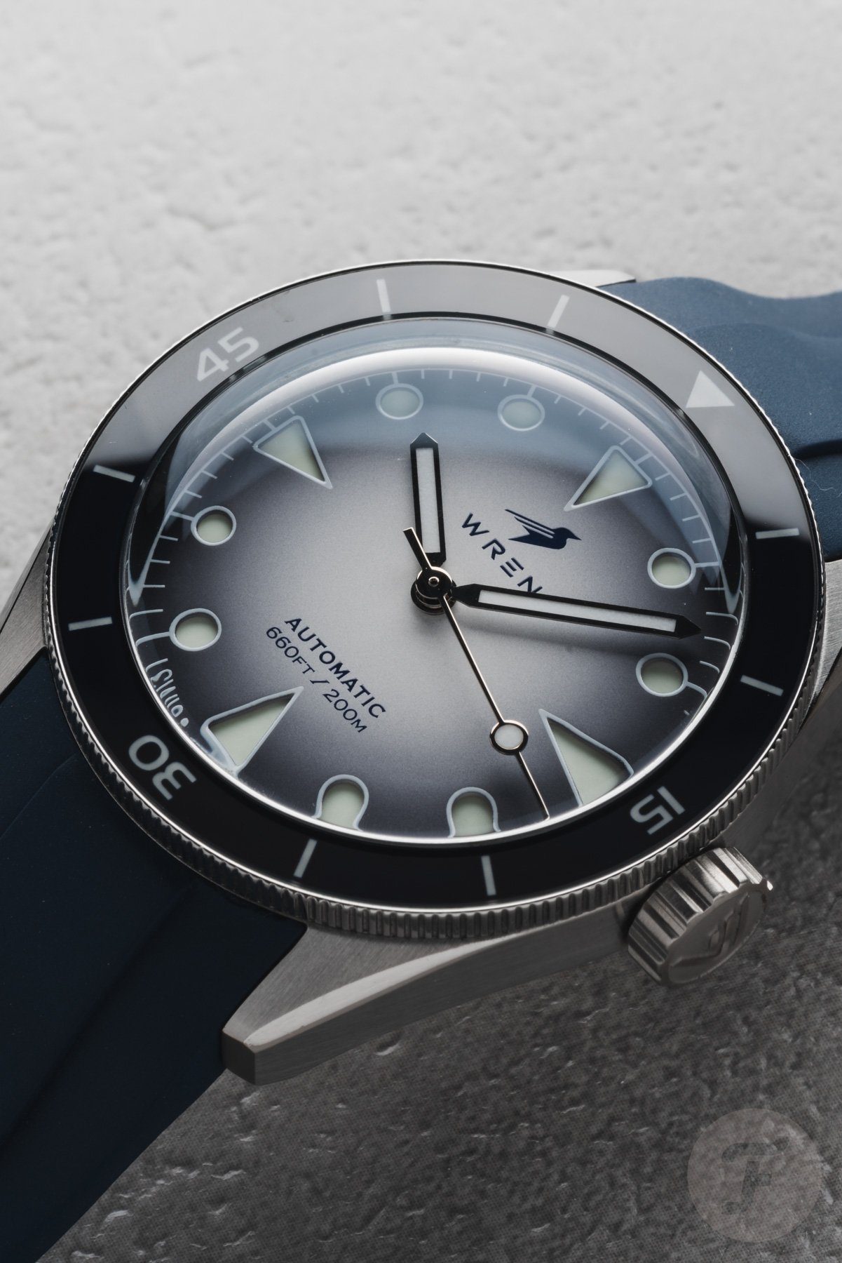 Wren Diver One Snow Dial