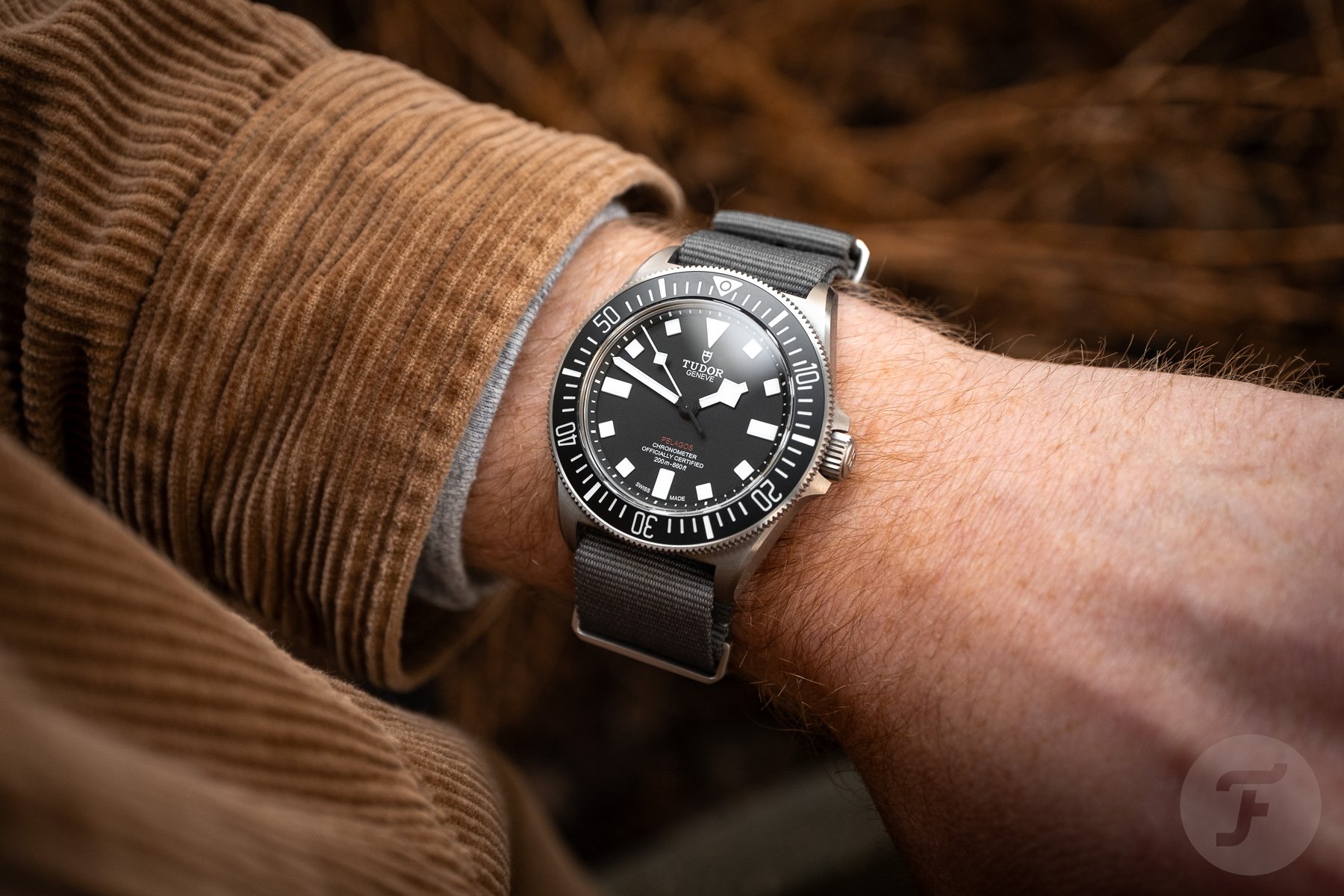 Tudor Pelagos FXD on the wrist